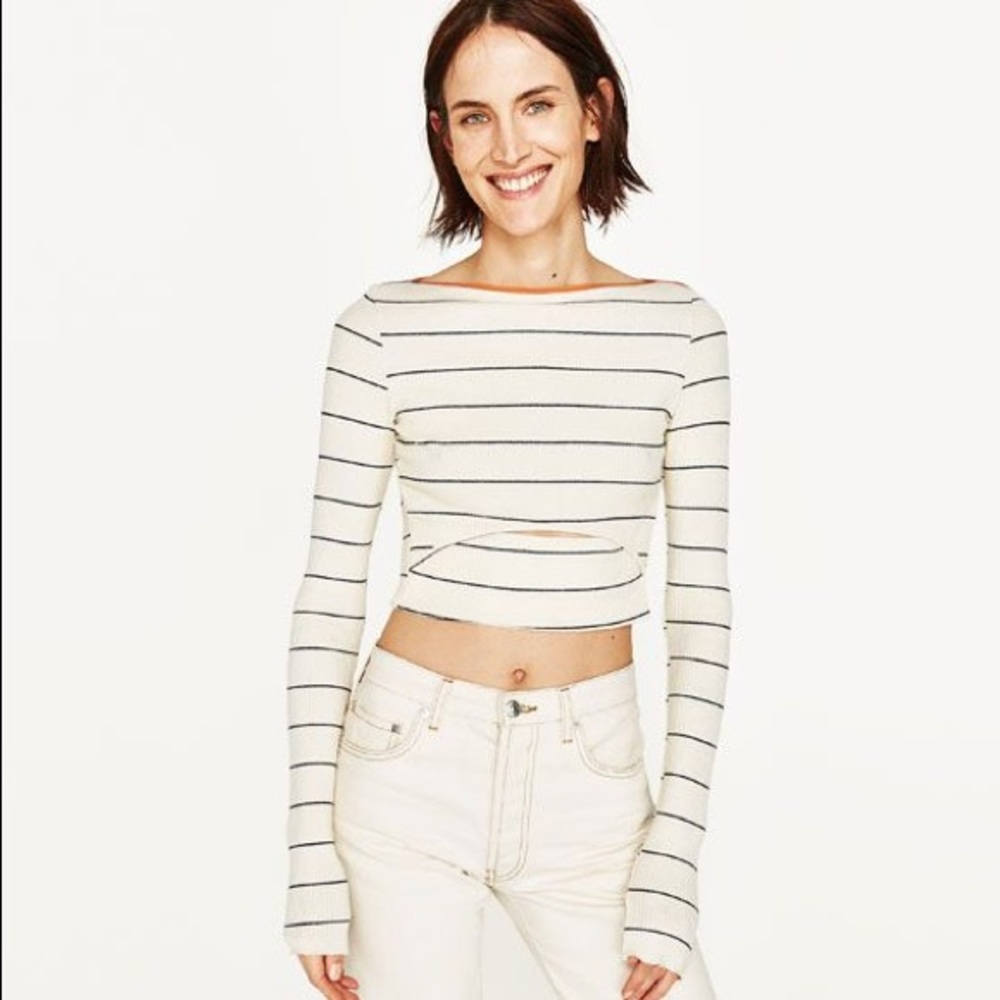 Zara Striped Crop Top